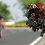 Fiori_Vittime_Strada